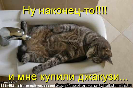 Ну наконец-то!!!! и мне купили джакузи...... Котоматрица: Ну наконец-то!!!! и мне купили джакузи...