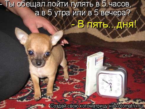 а в 5 утра или в 5 вечера? - Ты обещал пойти гулять в 5 часов, - В пять...дня!... Котоматрица: а в 5 утра или в 5 вечера? - Ты обещал пойти гулять в 5 часов, - В пять...дня!
