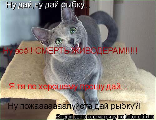 Ну дай,ну дай рыбку... Ну пожааааааалуйста дай рыбку?! Я тя по хорошему прошу дай... Ну всё!!!СМЕРТЬ ... Котоматрица: Ну дай,ну дай рыбку... Ну пожааааааалуйста дай рыбку?! Я тя по хорошему прошу дай... Ну всё!!!СМЕРТЬ ЖИВОДЕРАМ!!!!!