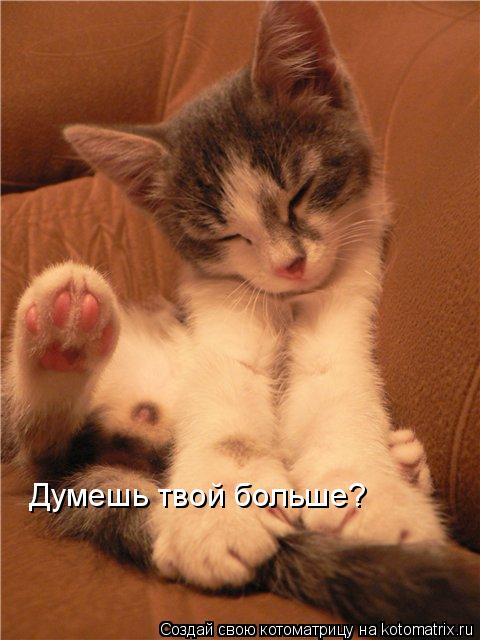 Думешь твой больше?... Котоматрица: Думешь твой больше?