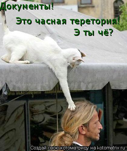 Э ты чё? Это часная теретория! Документы!... Котоматрица: Э ты чё? Это часная теретория! Документы!