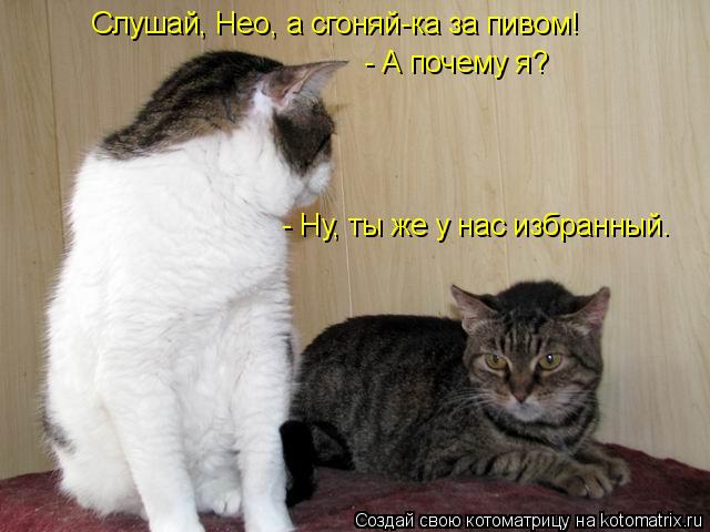 Слушай, Нео, а сгоняй-ка за пивом! - А почему я? - Ну, ты же у нас избранный.... Котоматрица: Слушай, Нео, а сгоняй-ка за пивом! - А почему я? - Ну, ты же у нас избранный.