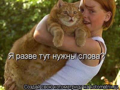 Я разве тут нужны слова?... Котоматрица: Я разве тут нужны слова?