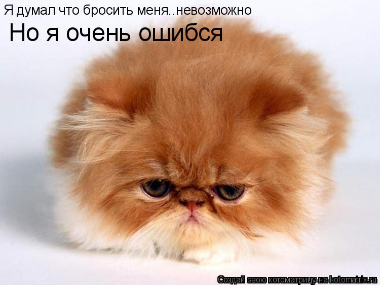 Я думал что бросить меня..невозможно Но я очень ошибся... Котоматрица: Я думал что бросить меня..невозможно Но я очень ошибся