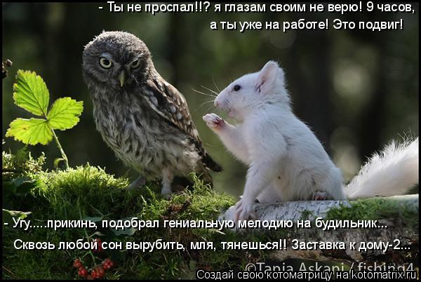 - Ты не проспал!!? я глазам своим не верю! 9 часов, а ты уже на работе! Это подвиг! - Угу.....прикин... Котоматрица: - Ты не проспал!!? я глазам своим не верю! 9 часов, а ты уже на работе! Это подвиг! - Угу.....прикинь, подобрал гениальную мелодию на будильник... С