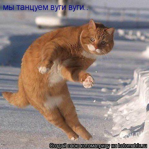мы танцуем вуги вуги..... Котоматрица: мы танцуем вуги вуги..