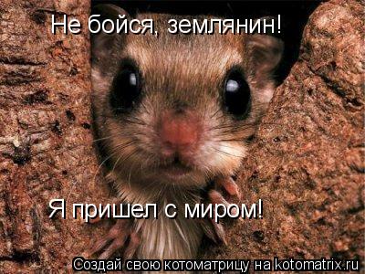 Не бойся, землянин! Я пришел с миром!... Котоматрица: Не бойся, землянин! Я пришел с миром!