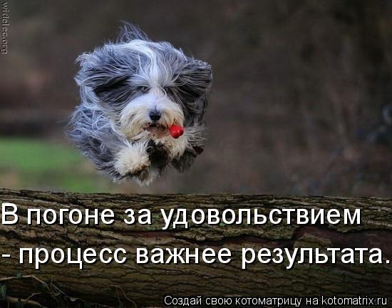 В погоне за удовольствием - процесс важнее результата.... Котоматрица: В погоне за удовольствием - процесс важнее результата.
