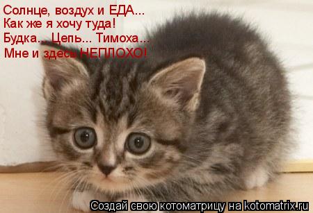 Солнце, воздух и ЕДА... Как же я хочу туда! Будка... Цепь... Тимоха... Мне и здесь НЕПЛОХО!... Котоматрица: Солнце, воздух и ЕДА... Как же я хочу туда! Будка... Цепь... Тимоха... Мне и здесь НЕПЛОХО!
