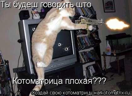 Ты будеш говорить што Котоматрица плохая???... Котоматрица: Ты будеш говорить што Котоматрица плохая???
