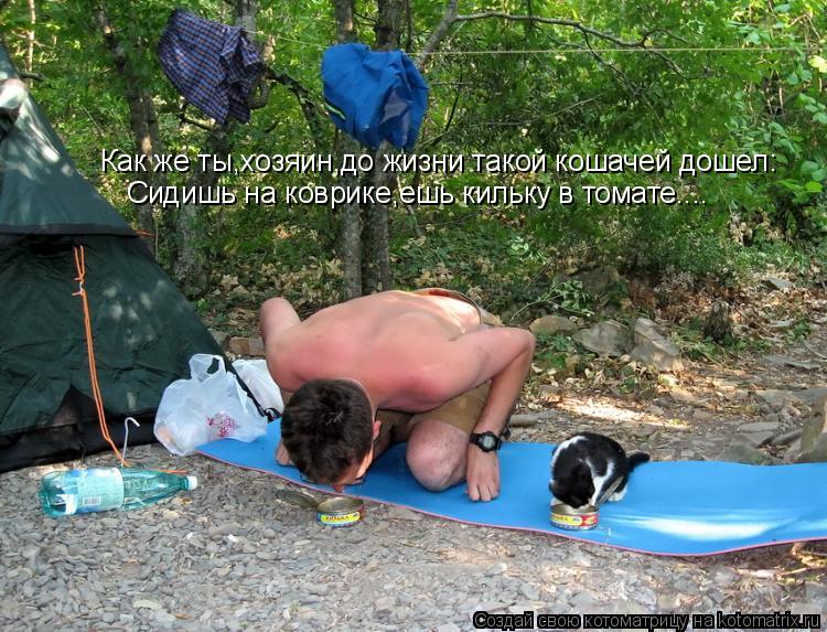 Как же ты,хозяин,до жизни такой кошачей дошел: Сидишь на коврике,ешь кильку в томате....... Котоматрица: Как же ты,хозяин,до жизни такой кошачей дошел: Сидишь на коврике,ешь кильку в томате....