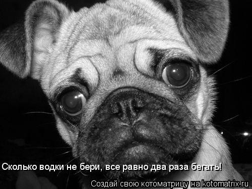 Сколько водки не бери, все равно два раза бегать!... Котоматрица: Сколько водки не бери, все равно два раза бегать!