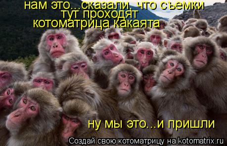 нам это...сказали, что съемки ну мы это...и пришли тут проходят котоматрица какаята... Котоматрица: нам это...сказали, что съемки ну мы это...и пришли тут проходят котоматрица какаята