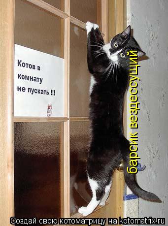 барсик вездессущий... Котоматрица: барсик вездессущий