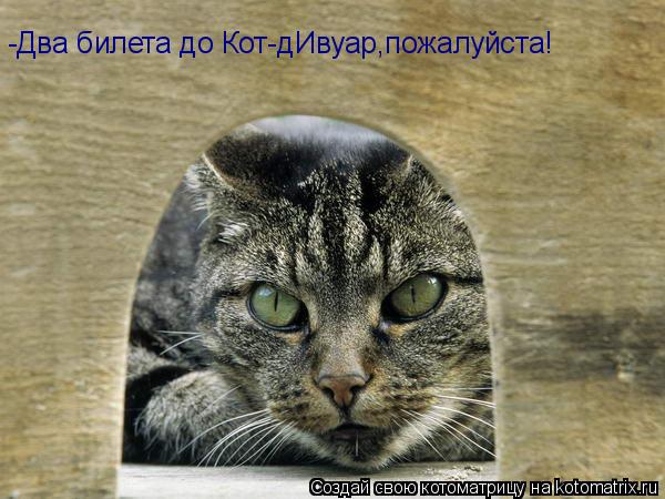 -Два билета до Кот-дИвуар,пожалуйста!... Котоматрица: -Два билета до Кот-дИвуар,пожалуйста!
