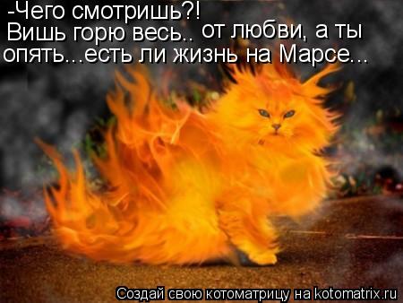 -Чего смотришь?! Вишь горю весь.. от любви, а ты опять...есть ли жизнь на Марсе...... Котоматрица: -Чего смотришь?! Вишь горю весь.. от любви, а ты опять...есть ли жизнь на Марсе...