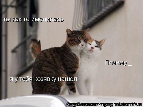 ты как то именилась Почему _ я у тебя козявку нашёл... Котоматрица: ты как то именилась Почему _ я у тебя козявку нашёл
