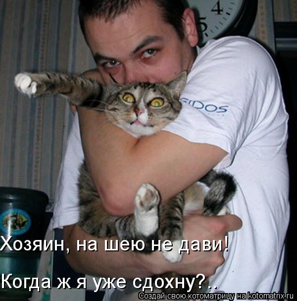Хозяин, на шею не дави! Когда ж я уже сдохну?..... Котоматрица: Хозяин, на шею не дави! Когда ж я уже сдохну?..