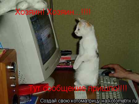 Хозяин! Хозяин...!!!! Тут сообщение пришло!!!!... Котоматрица: Хозяин! Хозяин...!!!! Тут сообщение пришло!!!!