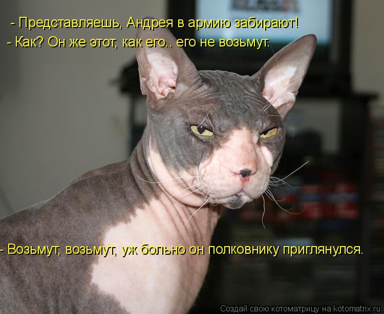 - Представляешь, Андрея в армию забирают! - Как? Он же этот, как его.. его не возьмут. - Возьмут, воз... Котоматрица: - Представляешь, Андрея в армию забирают! - Как? Он же этот, как его.. его не возьмут. - Возьмут, возьмут, уж больно он полковнику приглянулся.