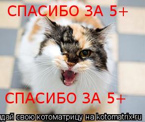 СПАСИБО ЗА 5+ СПАСИБО ЗА 5+... Котоматрица: СПАСИБО ЗА 5+ СПАСИБО ЗА 5+