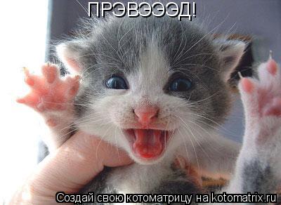 ПРЭВЭЭЭД!... Котоматрица: ПРЭВЭЭЭД!