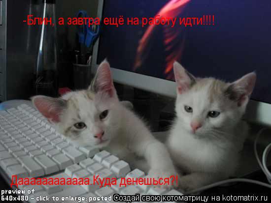 -Блин, а завтра ещё на работу идти!!!! Даааааааааааа.Куда денешься?! Даааааааааааа.Куда денешься?!... Котоматрица: -Блин, а завтра ещё на работу идти!!!! Даааааааааааа.Куда денешься?! Даааааааааааа.Куда денешься?!