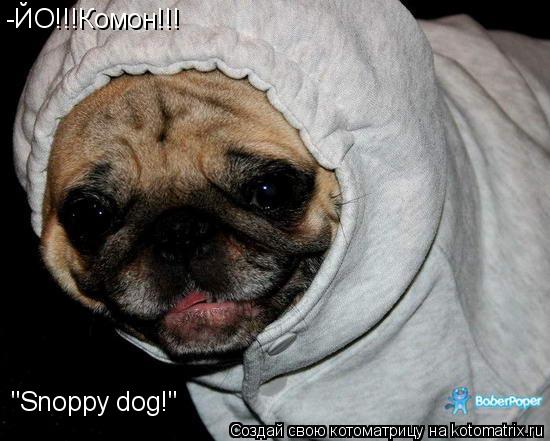 -ЙО!!!Комон!!! "Snoppy dog!"... Котоматрица: -ЙО!!!Комон!!! "Snoppy dog!"