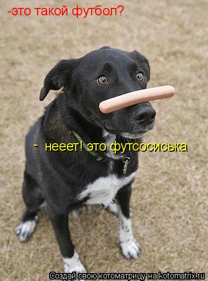 -это такой футбол? нееет! это футсосиська -... Котоматрица: -это такой футбол? нееет! это футсосиська -