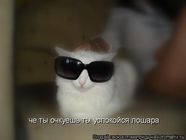 че ты очкуешь ты успокойся лошара... Котоматрица: че ты очкуешь ты успокойся лошара