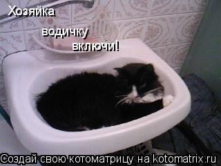 Хозяйка водичку включи!... Котоматрица: Хозяйка водичку включи!