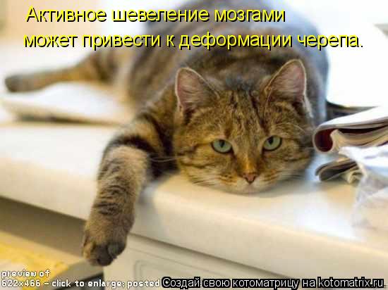 Активное шевеление мозгами может привести к деформации черепа.... Котоматрица: Активное шевеление мозгами может привести к деформации черепа.