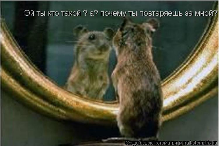 Эй ты кто такой ? а? почему ты повтаряешь за мной?... Котоматрица: Эй ты кто такой ? а? почему ты повтаряешь за мной?