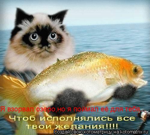 Я взорвал озеро,но я поймал её для тебя...... Котоматрица: Я взорвал озеро,но я поймал её для тебя...