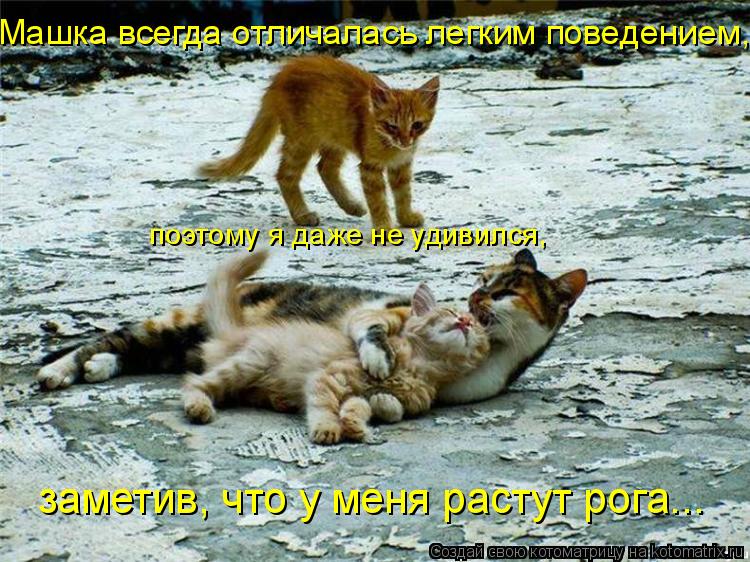 поэтому я даже не удивился, заметив, что у меня растут рога... Машка всегда отличалась легким поведен... Котоматрица: поэтому я даже не удивился, заметив, что у меня растут рога... Машка всегда отличалась легким поведением,