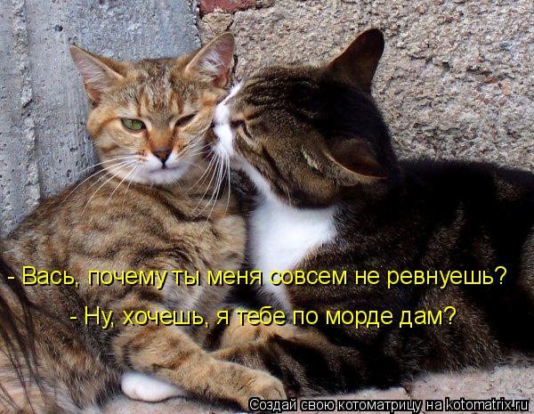 - Вась, почему ты меня совсем не ревнуешь? - Ну, хочешь, я тебе по морде дам?... Котоматрица: - Вась, почему ты меня совсем не ревнуешь? - Ну, хочешь, я тебе по морде дам?