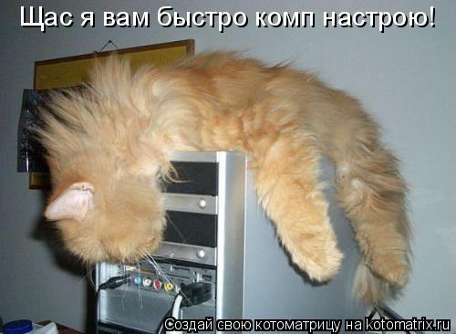 Щас я вам быстро комп настрою!... Котоматрица: Щас я вам быстро комп настрою!