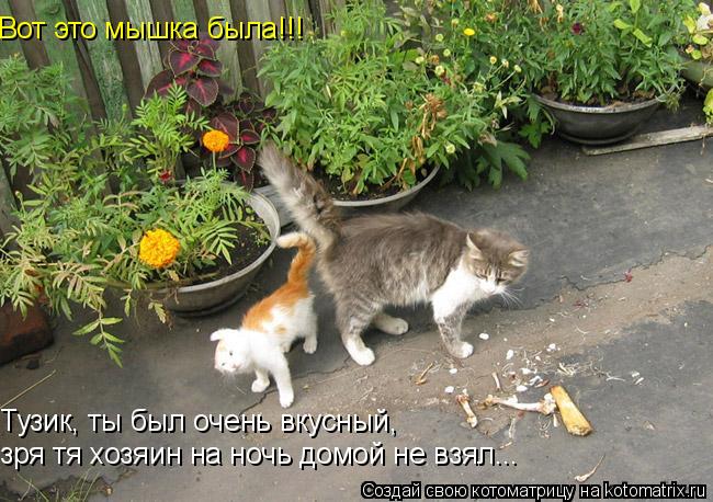 Вот это мышка была!!! Тузик, ты был очень вкусный, зря тя хозяин на ночь домой не взял...... Котоматрица: Вот это мышка была!!! Тузик, ты был очень вкусный, зря тя хозяин на ночь домой не взял...