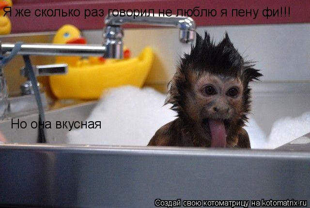 Я же сколько раз говорил не люблю я пену фи!!! Но она вкусная Но она вкусная... Котоматрица: Я же сколько раз говорил не люблю я пену фи!!! Но она вкусная Но она вкусная