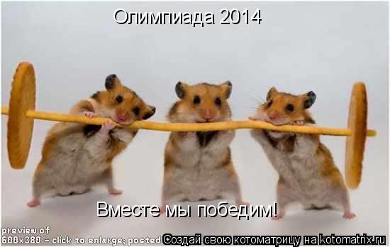 Олимпиада 2014 Вместе мы победим!... Котоматрица: Олимпиада 2014 Вместе мы победим!