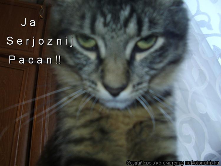 J a S e r j o z n i j P a c a n !!... Котоматрица: J a S e r j o z n i j P a c a n !!