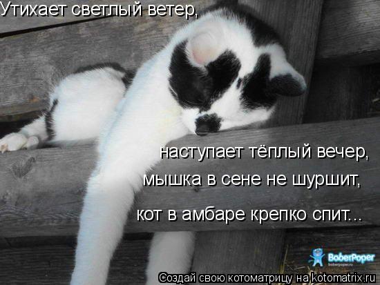 Утихает светлый ветер, наступает тёплый вечер, мышка в сене не шуршит, кот в амбаре крепко спит...... Котоматрица: Утихает светлый ветер, наступает тёплый вечер, мышка в сене не шуршит, кот в амбаре крепко спит...