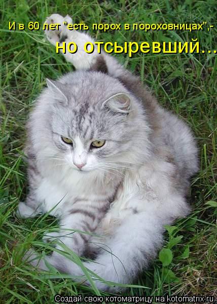 И в 60 лет "есть порох в пороховницах",- но отсыревший...... Котоматрица: И в 60 лет "есть порох в пороховницах",- но отсыревший...
