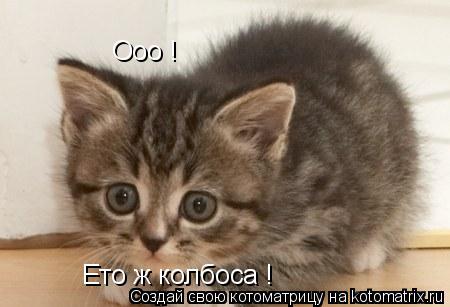 Ооо ! Ето ж колбоса !... Котоматрица: Ооо ! Ето ж колбоса !