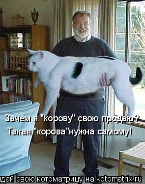 Зачем я "корову" свою продаю? Такая "корова"нужна самому!... Котоматрица: Зачем я "корову" свою продаю? Такая "корова"нужна самому!