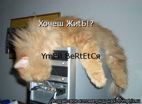 YmEй BeRtEtCя Xoчeш ЖиtЬ!?... Котоматрица: YmEй BeRtEtCя Xoчeш ЖиtЬ!?