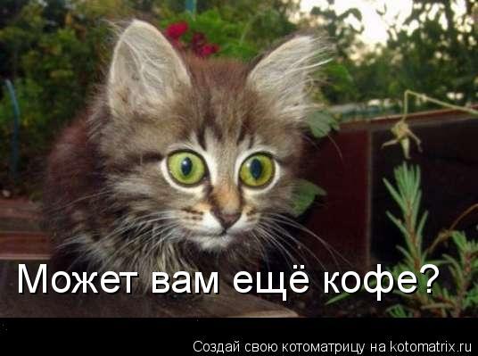 Может вам ещё кофе?... Котоматрица: Может вам ещё кофе?