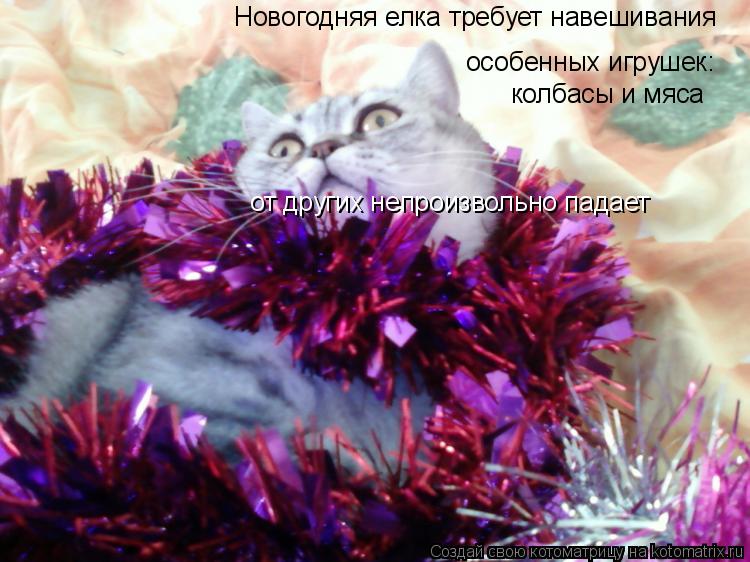 особенных игрушек: колбасы и мяса от других непроизвольно падает Новогодняя елка требует навешивания... Котоматрица: особенных игрушек: колбасы и мяса от других непроизвольно падает Новогодняя елка требует навешивания