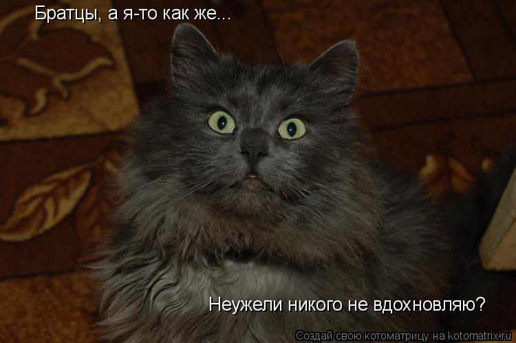 Братцы, а я-то как же... Неужели никого не вдохновляю?... Котоматрица: Братцы, а я-то как же... Неужели никого не вдохновляю?