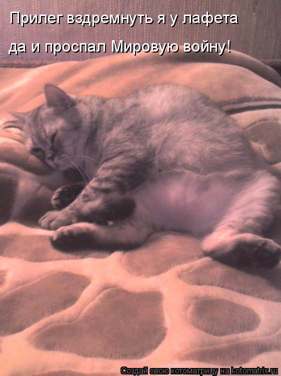 Прилег вздремнуть я у лафета да и проспал Мировую войну!... Котоматрица: Прилег вздремнуть я у лафета да и проспал Мировую войну!